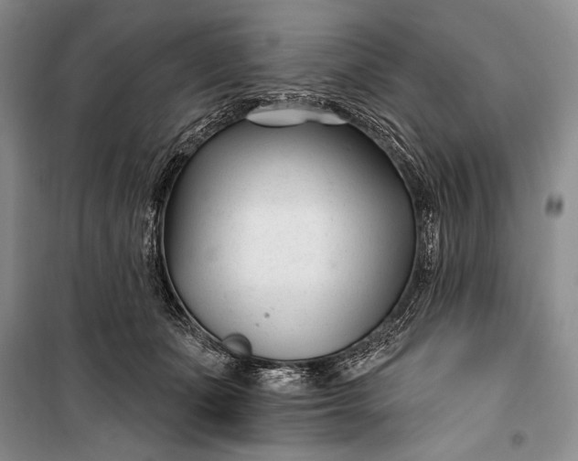 X0000100210511200806131255