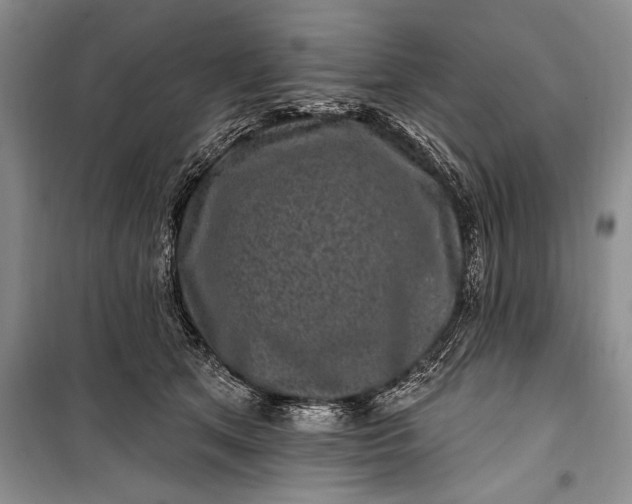 X0000100210513200806131255