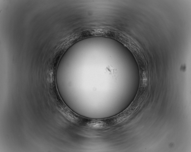 X0000100210514200806131255