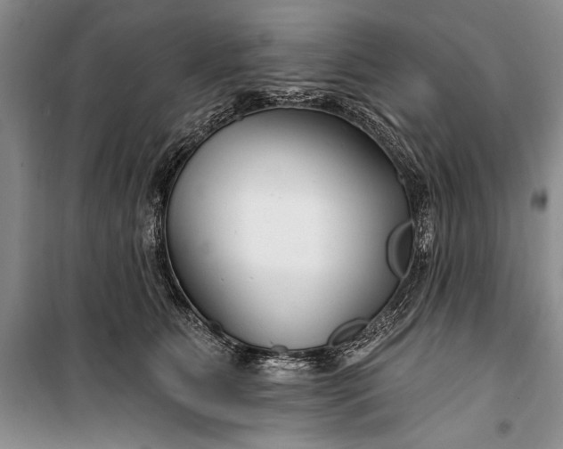 X0000100210515200806131255