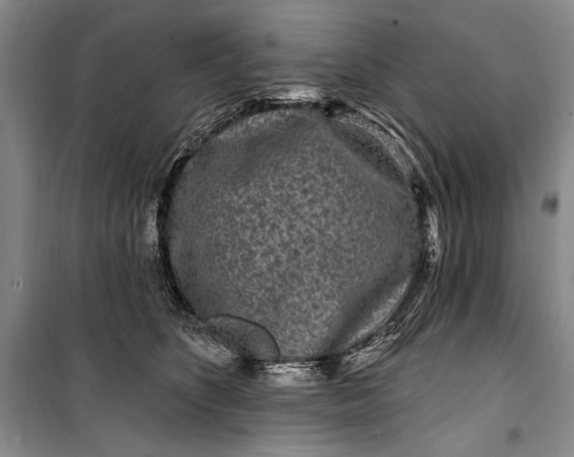 X0000100210516200806131255