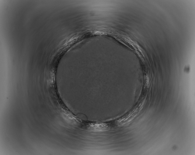 X0000100210517200806131255