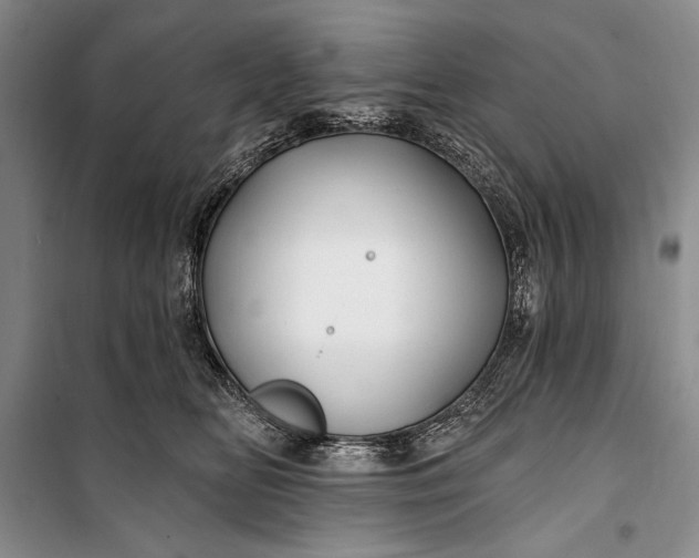 X0000100210518200806131255