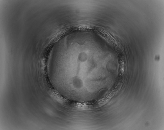 X0000100210519200806131255