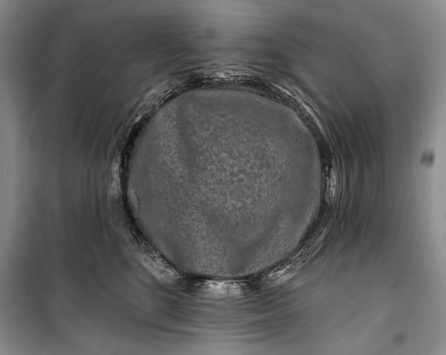 X0000100210520200806131255