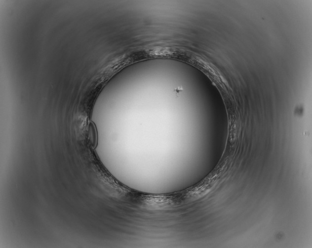 X0000100210521200806131255