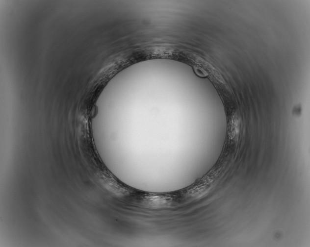 X0000100210522200806131255