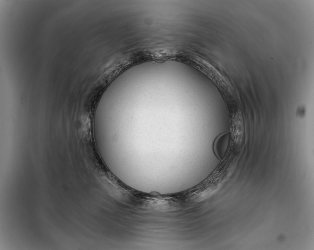 X0000100210523200806131255