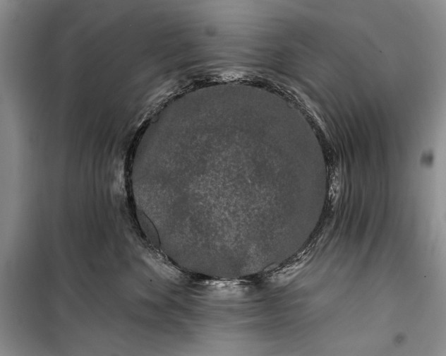 X0000100210524200806131255