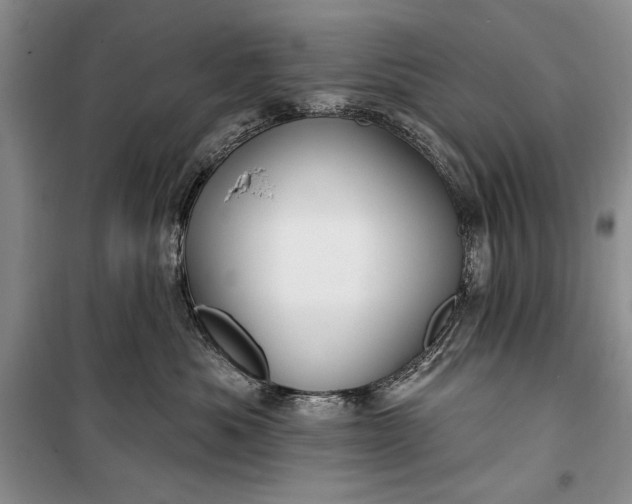 X0000100210525200806131255