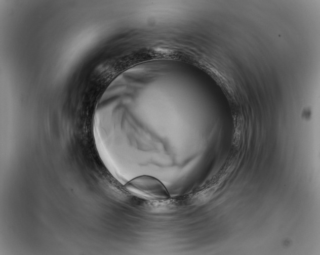 X0000100210526200806131255