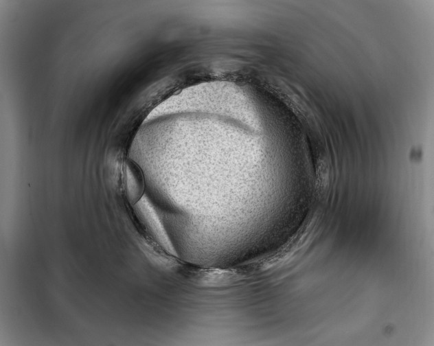 X0000100210527200806131255