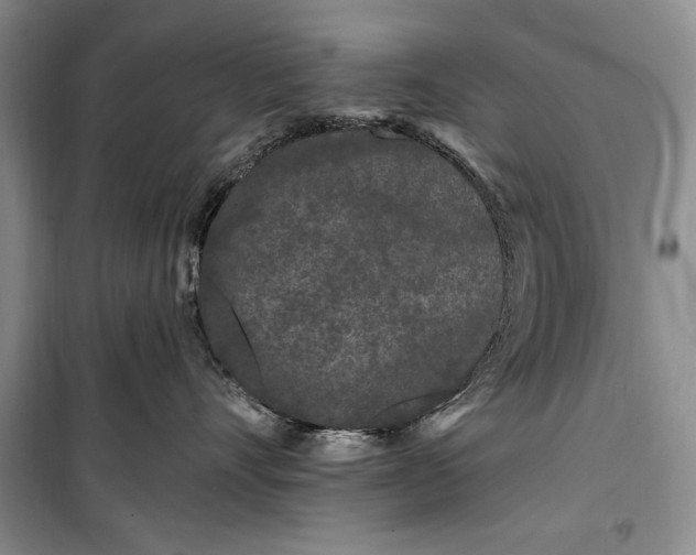 X0000100210528200806131255