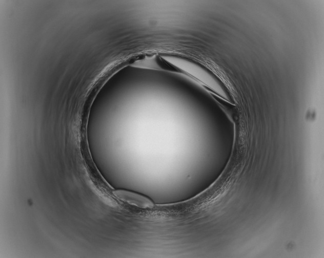 X0000100210530200806131254