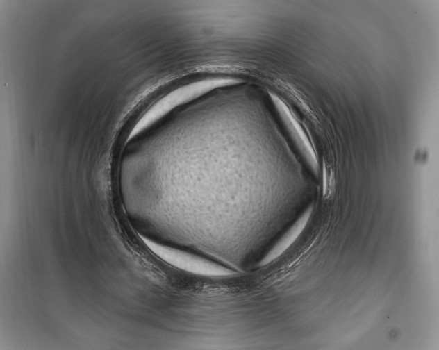 X0000100210531200806131254