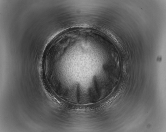 X0000100210532200806131254