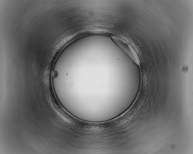 X0000100210533200806131254