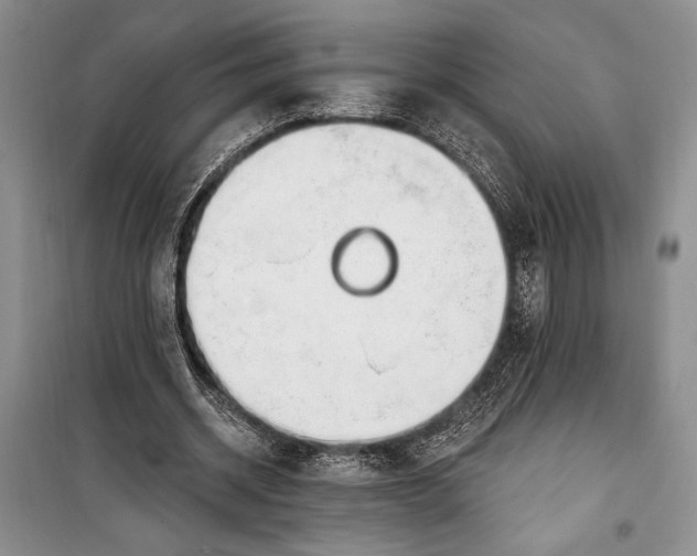 X0000100210534200806131254