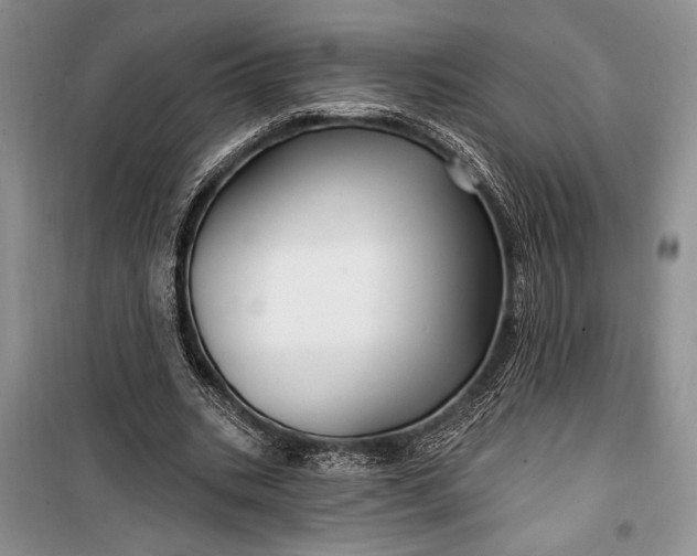 X0000100210535200806131254