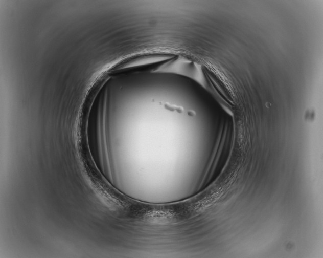 X0000100210536200806131254