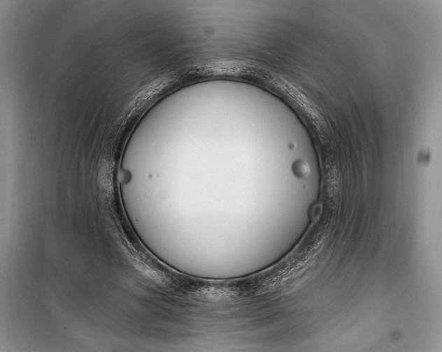 X0000100210537200806131254