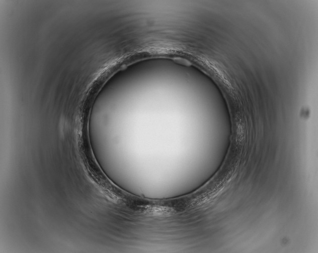 X0000100210539200806131254