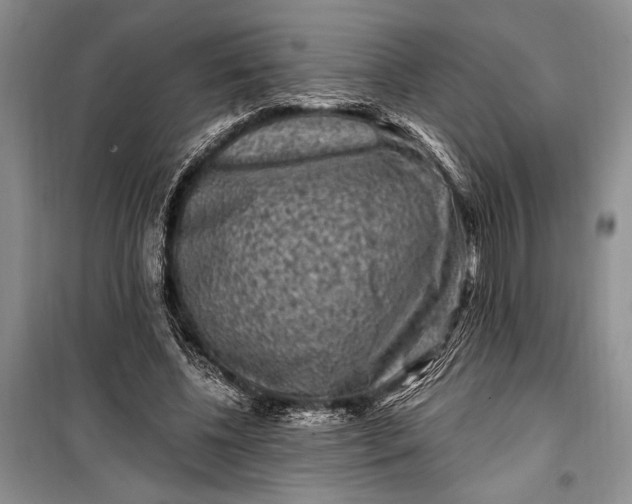 X0000100210540200806131254