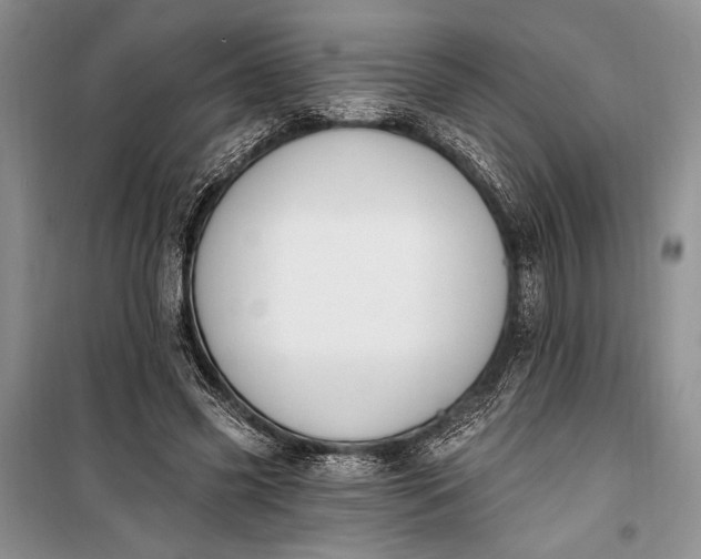 X0000100210541200806131254