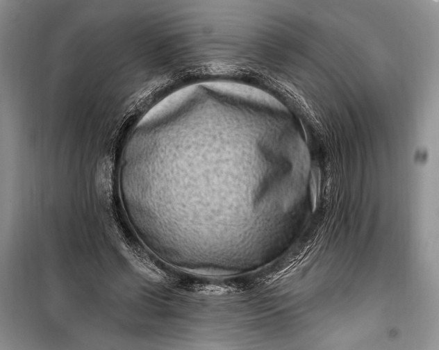 X0000100210542200806131254