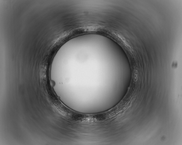 X0000100210543200806131254