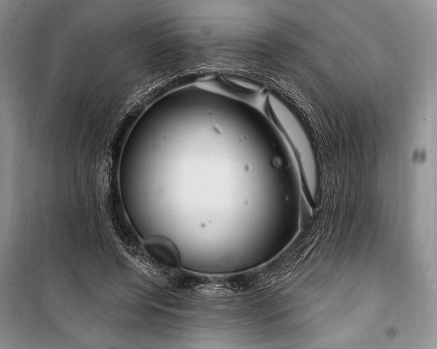 X0000100210544200806131254