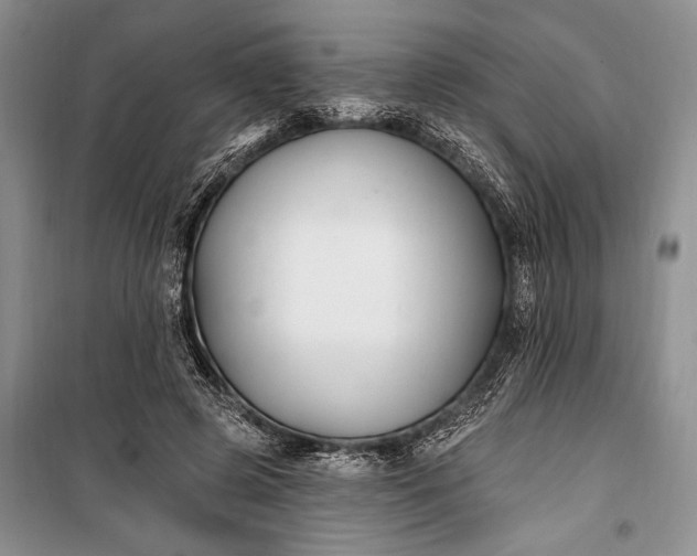 X0000100210545200806131254