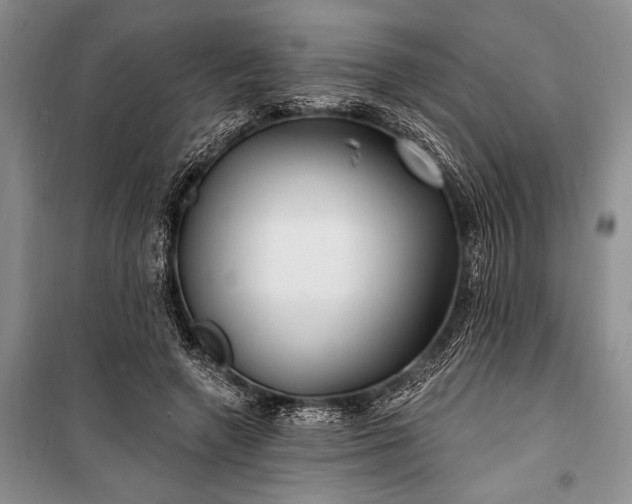 X0000100210546200806131254