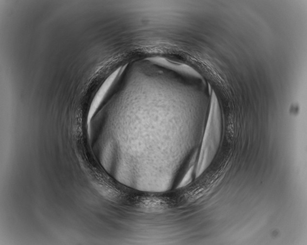 X0000100210547200806131254