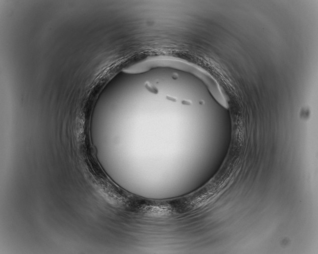 X0000100210548200806131254