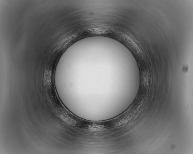 X0000100210549200806131254