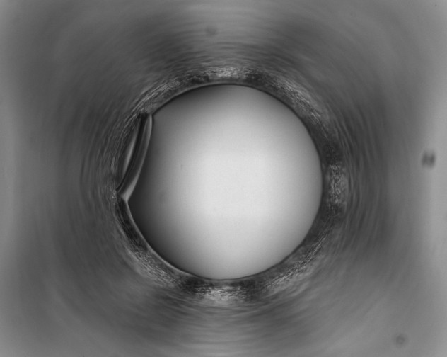 X0000100210550200806131254