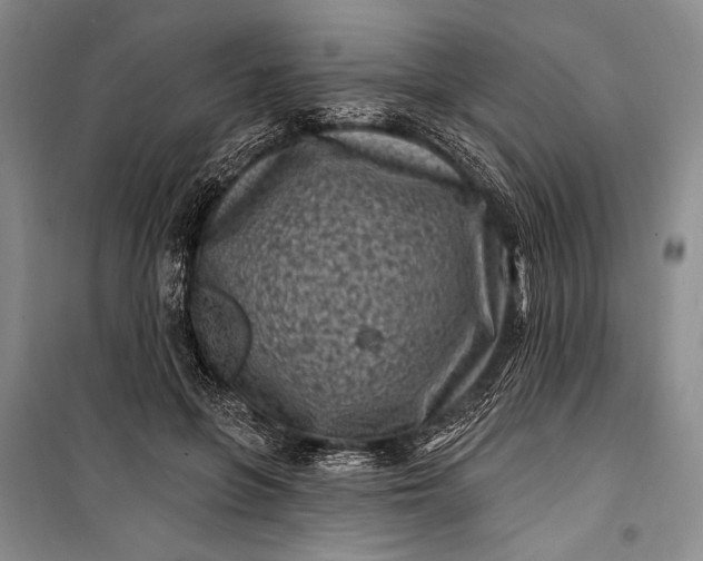 X0000100210551200806131254