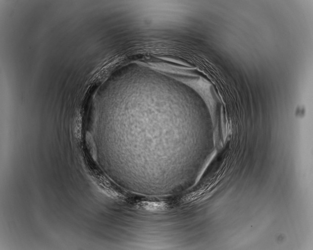 X0000100210552200806131254