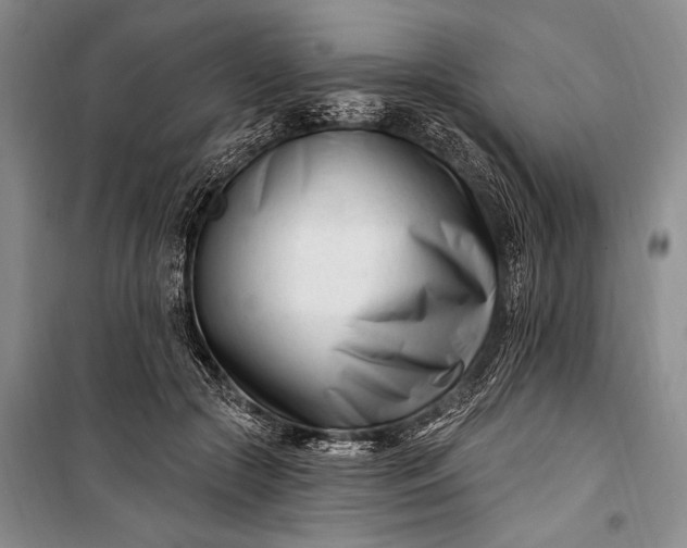 X0000100210553200806131254