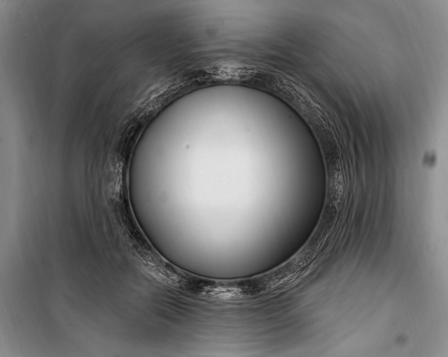 X0000100210554200806131254