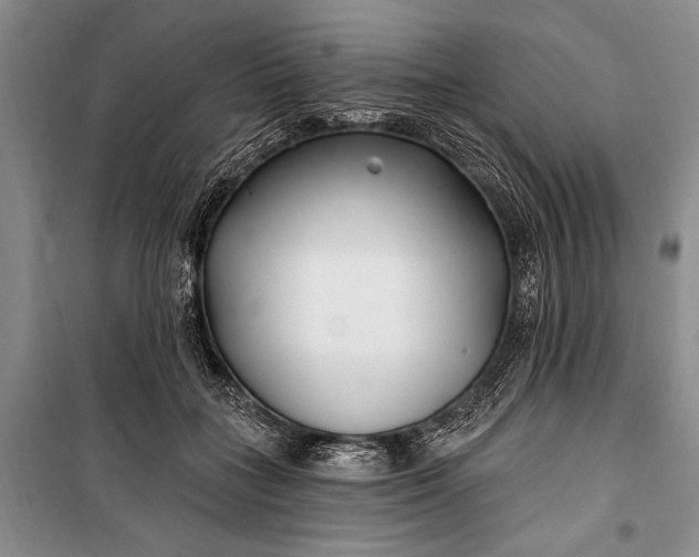 X0000100210555200806131254