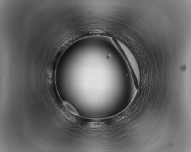 X0000100210556200806131254