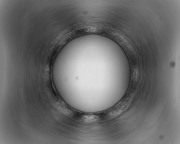 X0000100210557200806131254