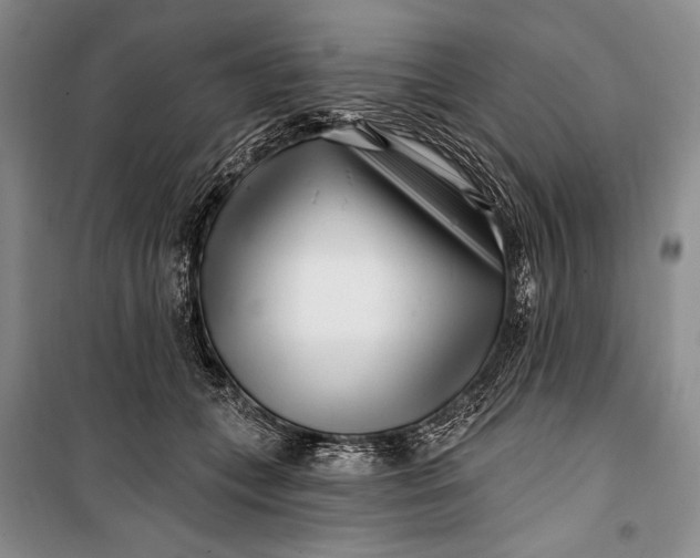 X0000100210559200806131254