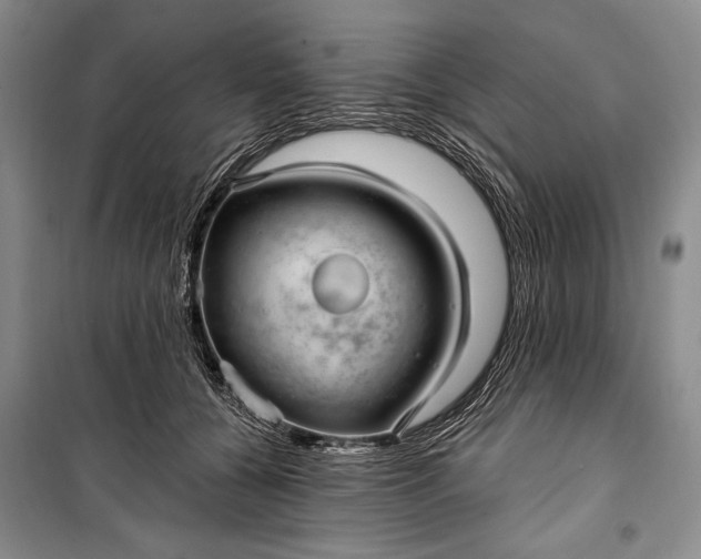 X0000100210560200806131254