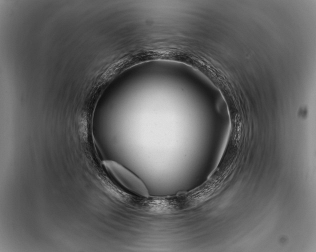 X0000100210562200806131254