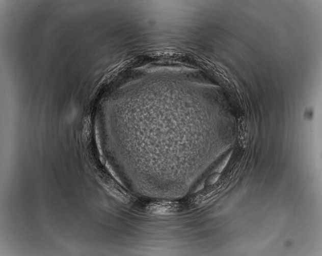 X0000100210563200806131254