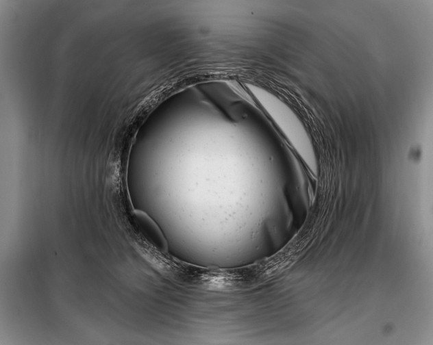 X0000100210564200806131254