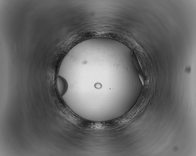 X0000100210565200806131254